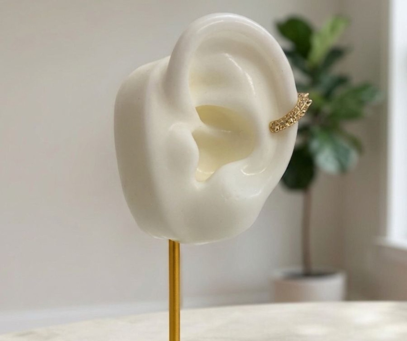 Ear Cuffs (ECER-5)